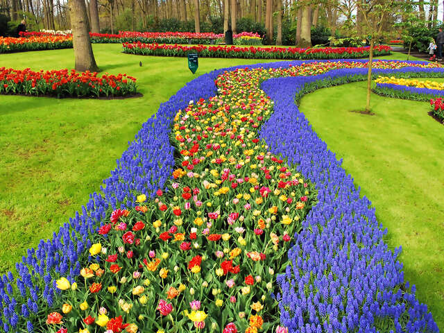 Holland and Belgium Springtime River Cruise