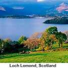 2015LochLamond-Scotland.jpg