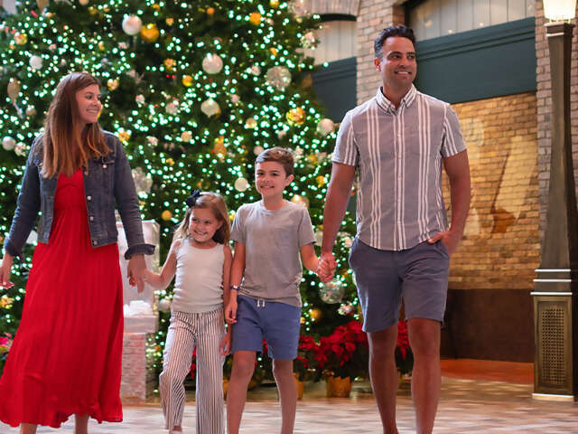 Bigger, Bolder Holidays