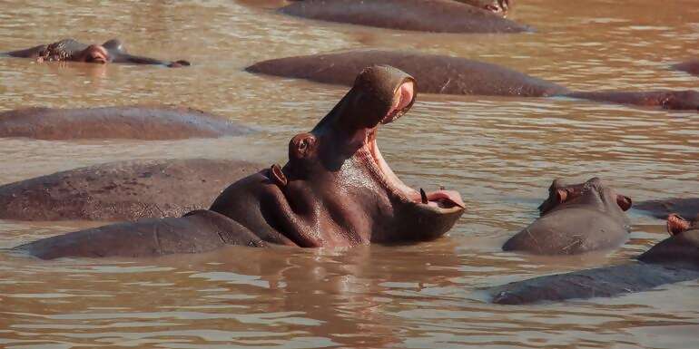 Kenya: Cultural Connections, Mt Kenya & Maasai Mara