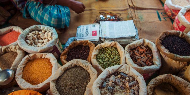 Northern India: Riverside Safaris, Ancient Fortresses & The Taj Mahal