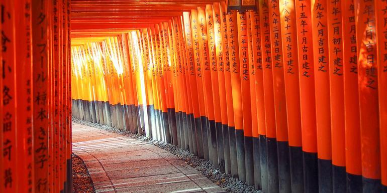 Active Japan: Kyoto to Tokyo Island Hopping