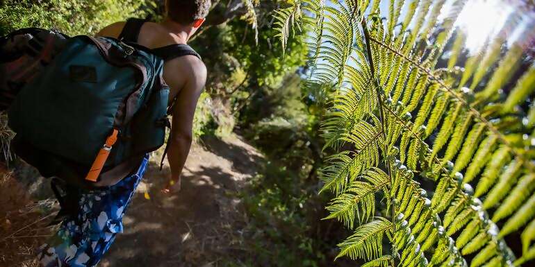 Australia And New Zealand: Bushwalks & Beaches
