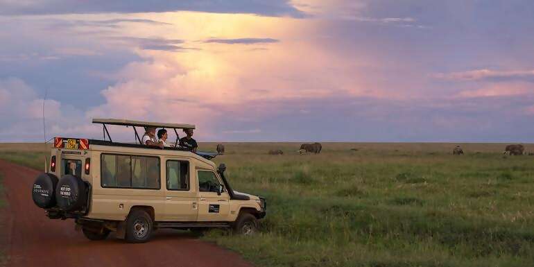 Maasai Mara Safari: Legendary Wildlife & Cultural Safari