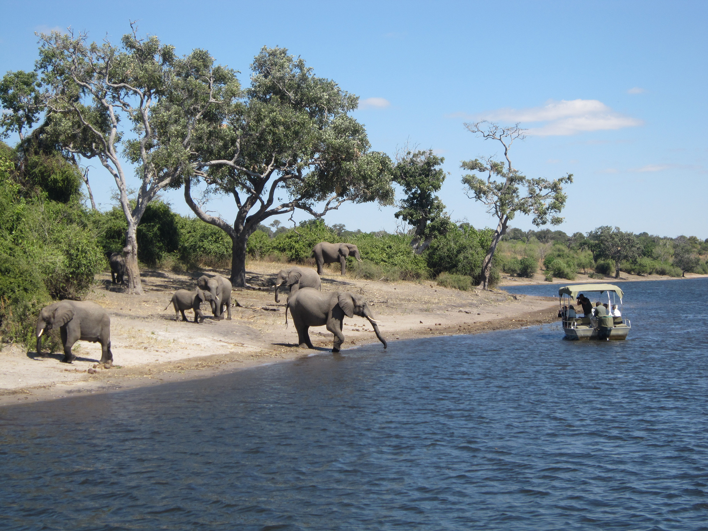 Exploring South Africa, Victoria Falls & Botswana