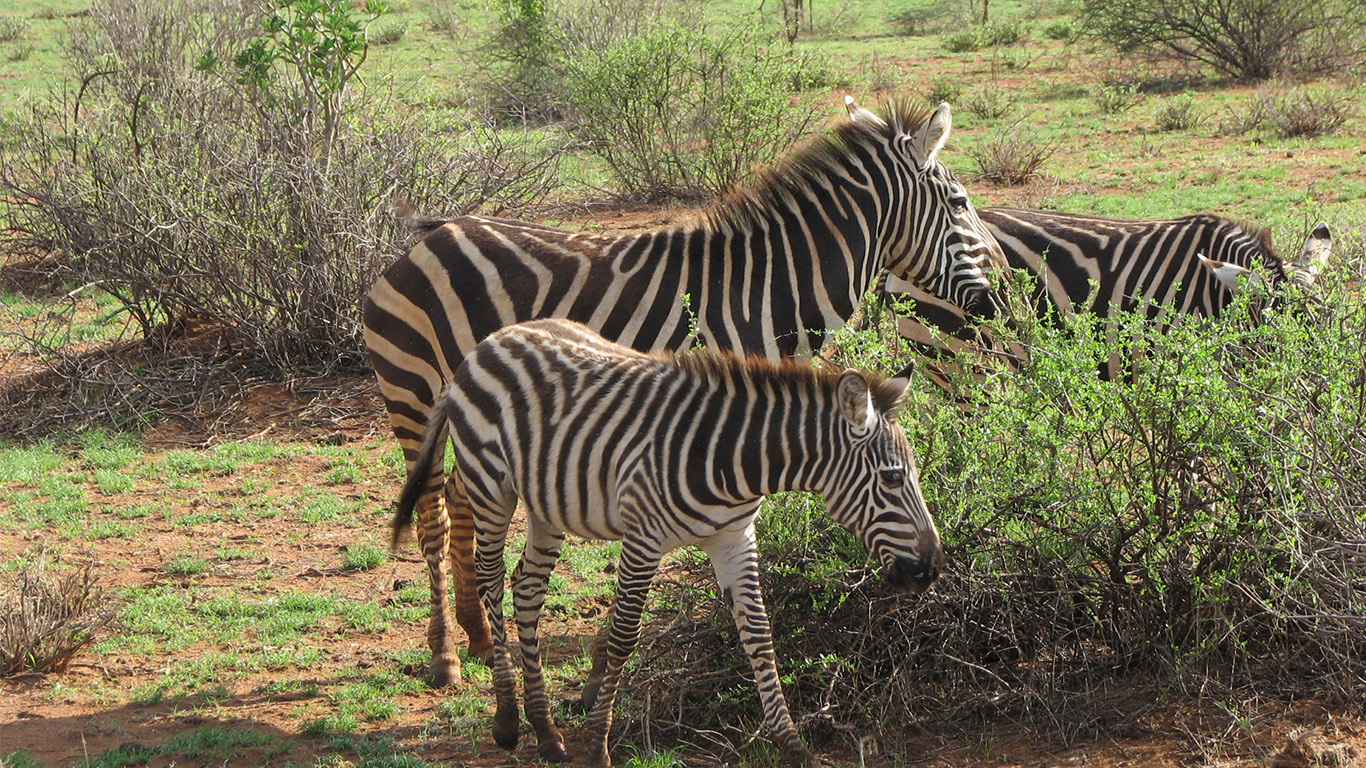 Namibia & South Africa: Epic Landscapes & Wildlife