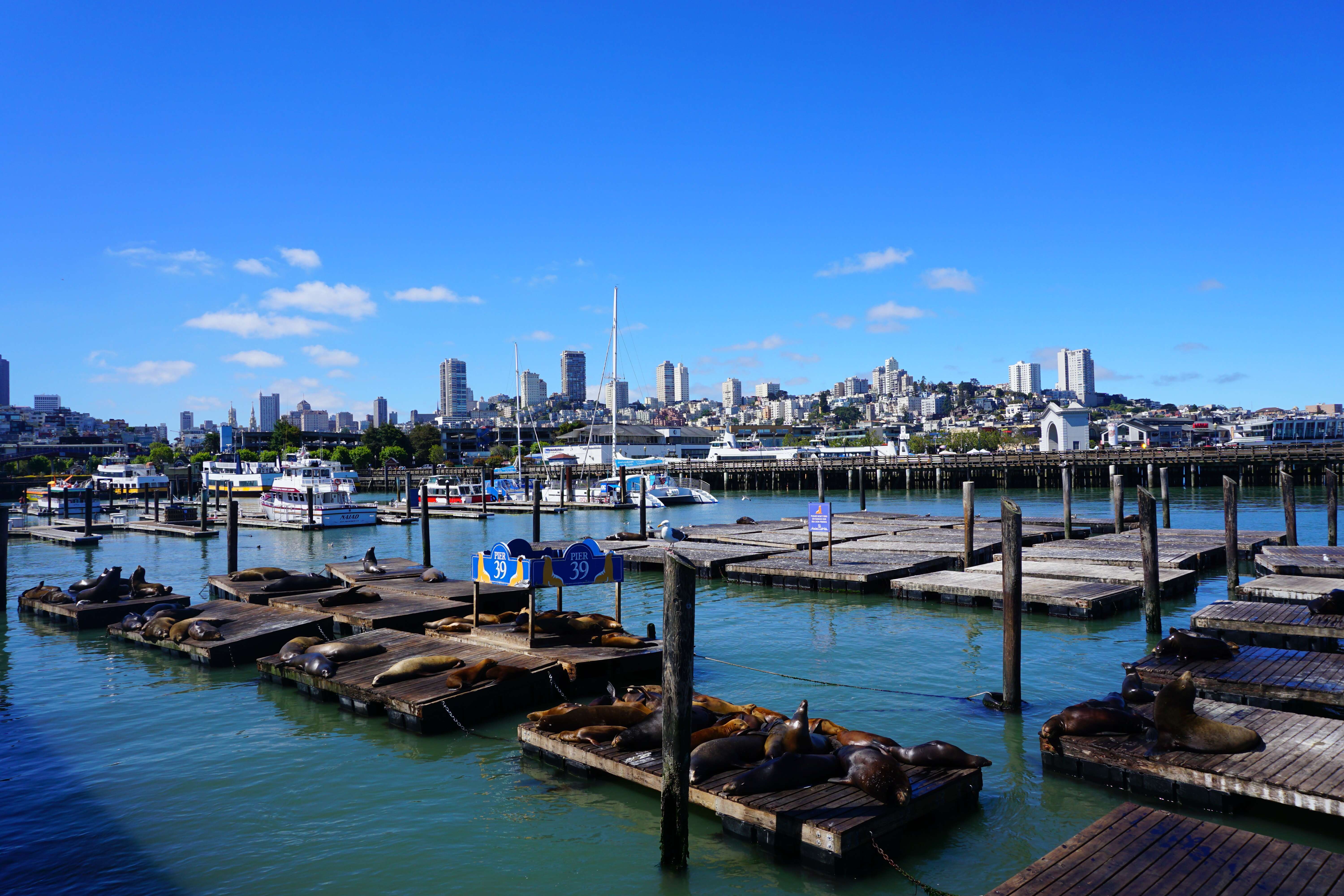 Pacific Northwest & California featuring Washington, Oregon and California