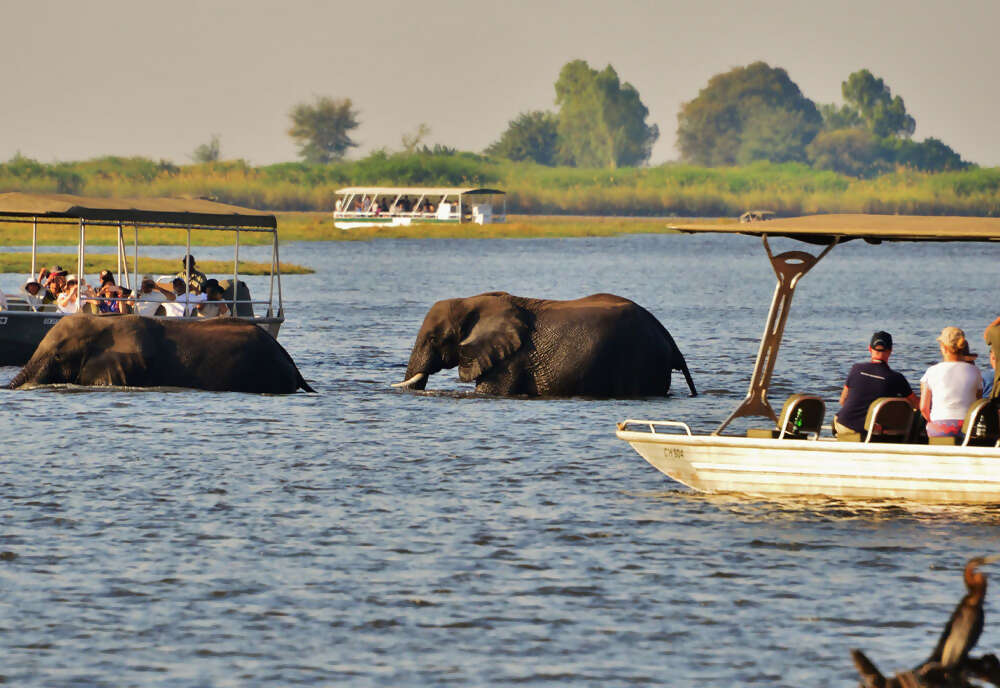 Wilderness of Southern Africa: Safari by Land & Water