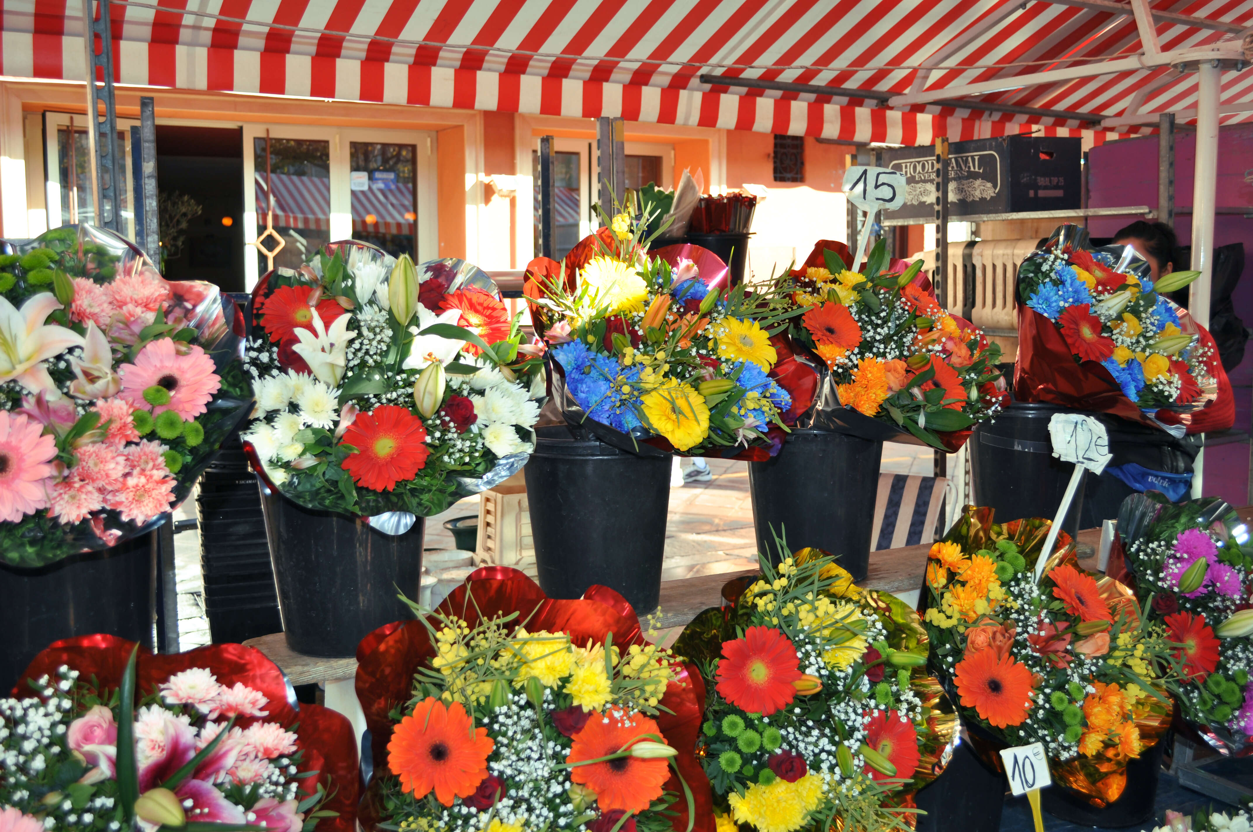 Spotlight on the French Riviera