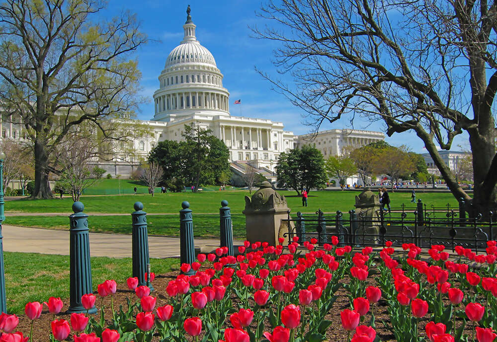 Spotlight on Washington, D.C. Exploring America's Capital