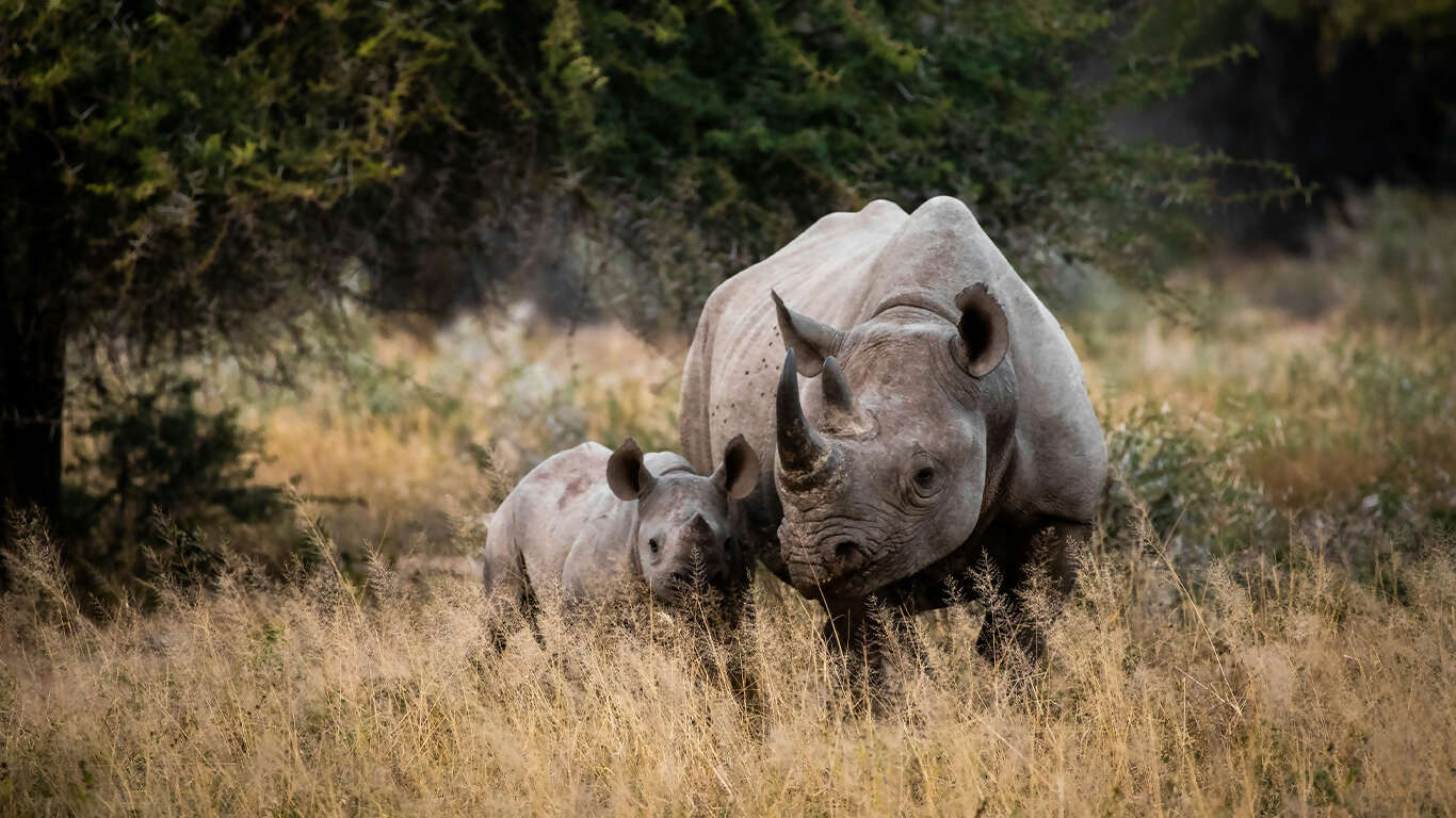 Namibia & South Africa: Epic Landscapes & Wildlife