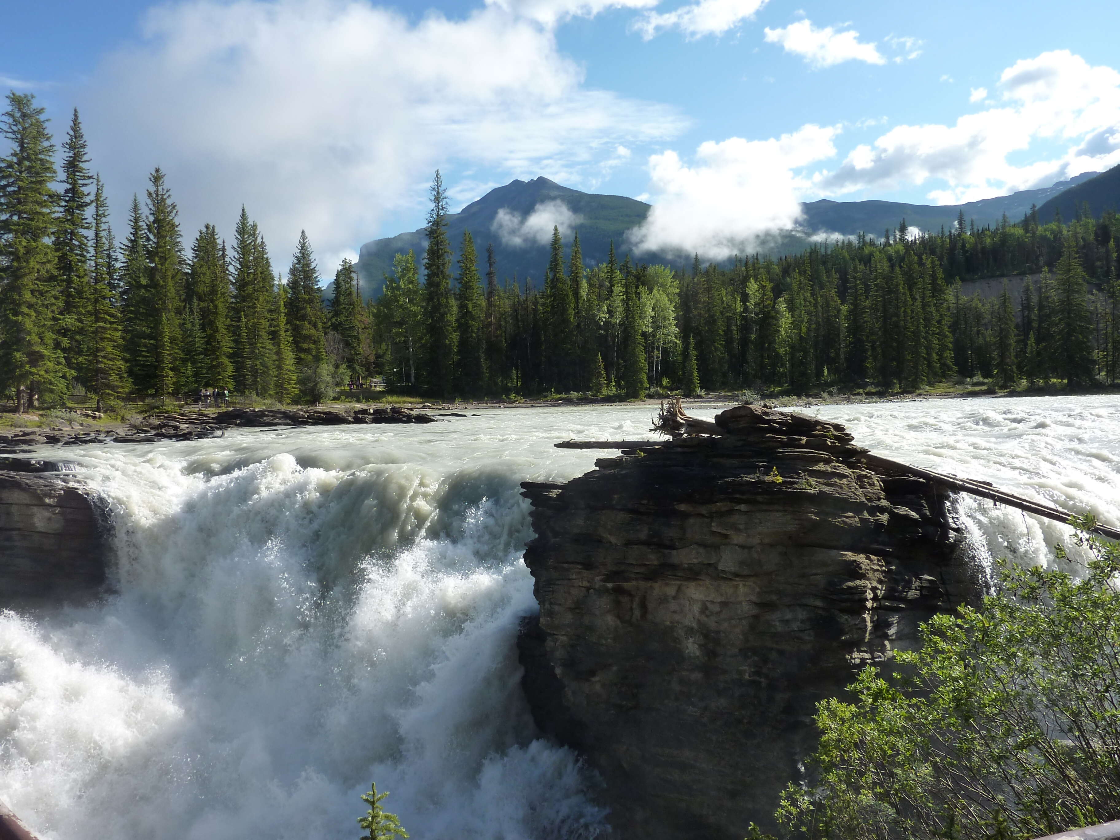Canadian Rockies by Train