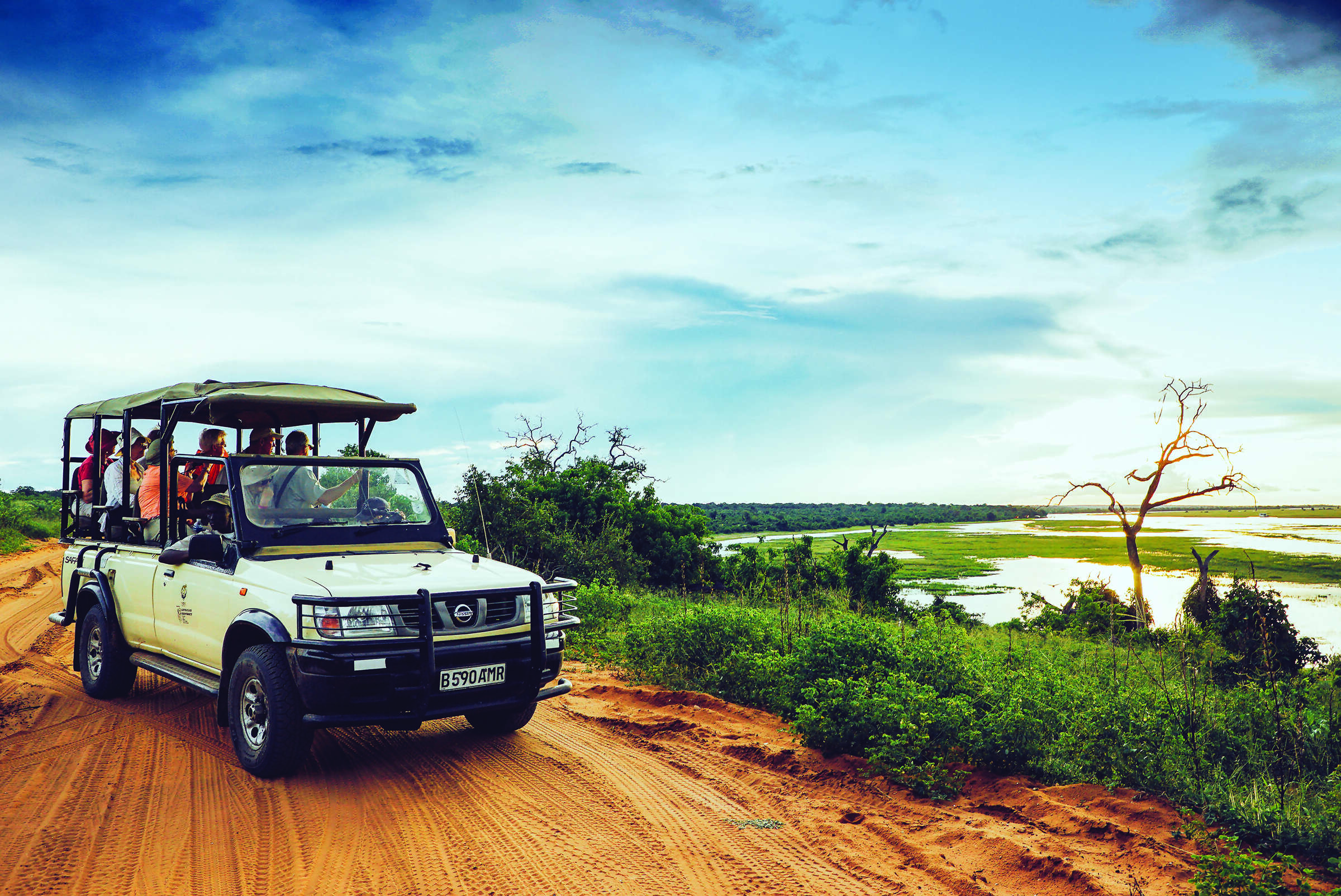 Exploring South Africa, Victoria Falls, and Botswana