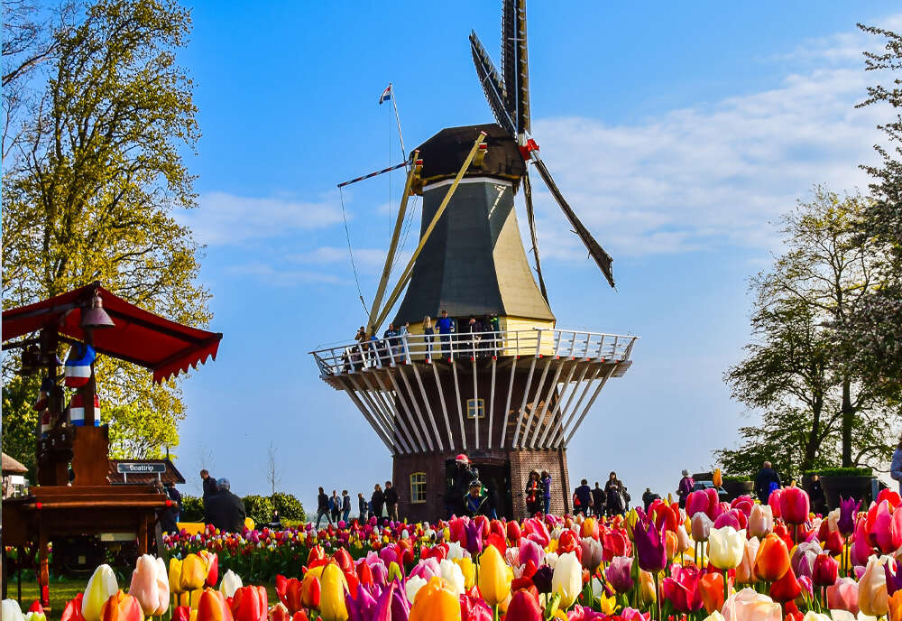 Holland and Belgium Springtime River Cruise