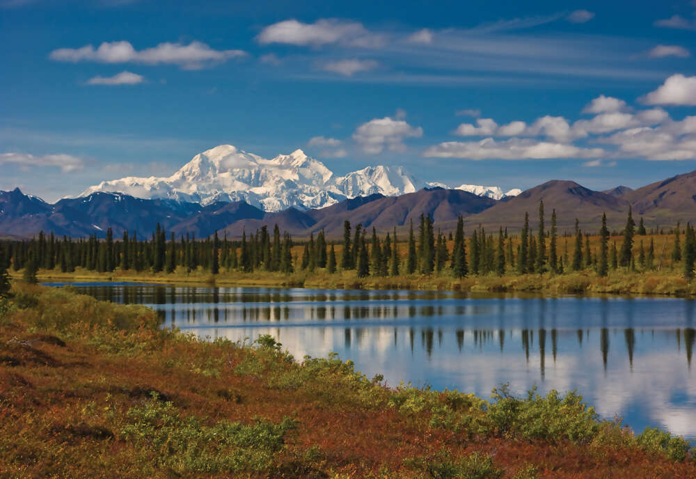 Alaska Discovery Land & Cruise featuring a 7-night Holland America Cruise