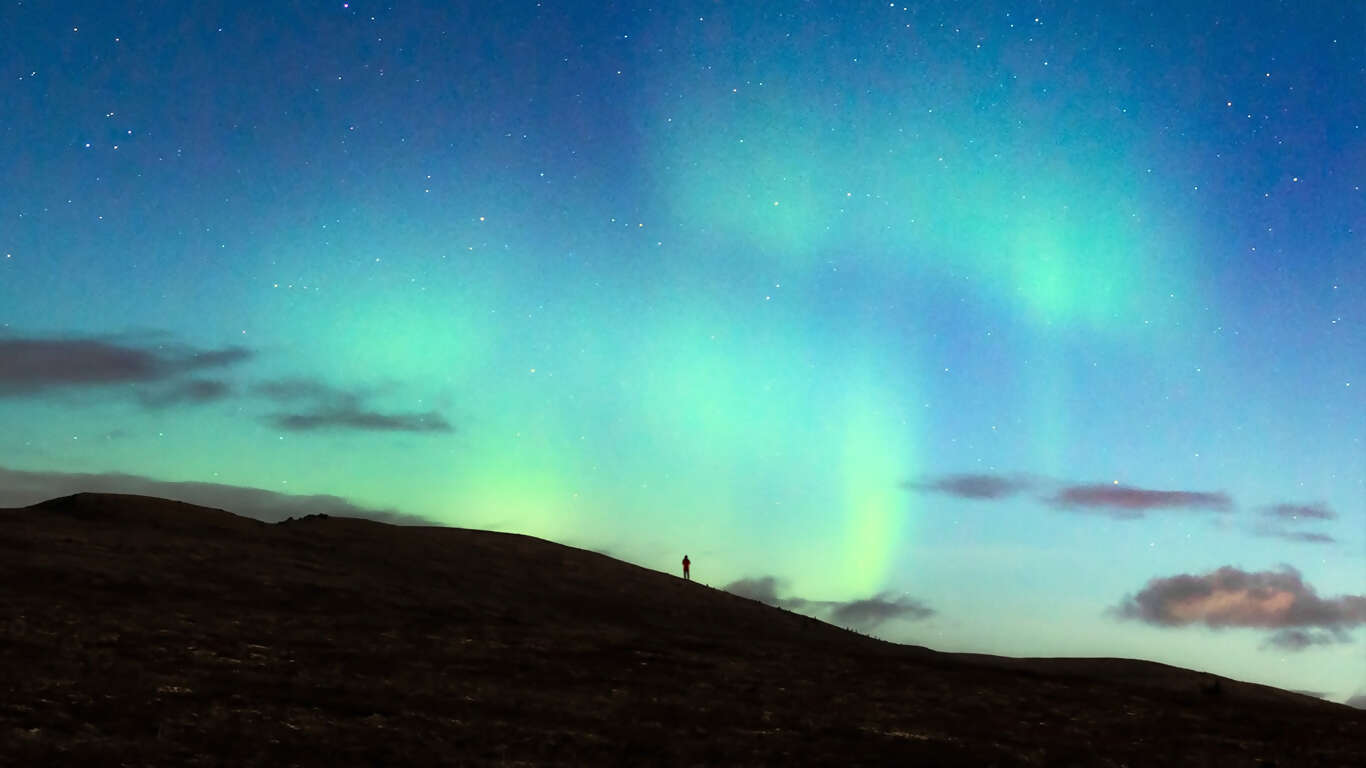 Alaska's Northern Lights featuring the Alaska Wildlife Conservation Center